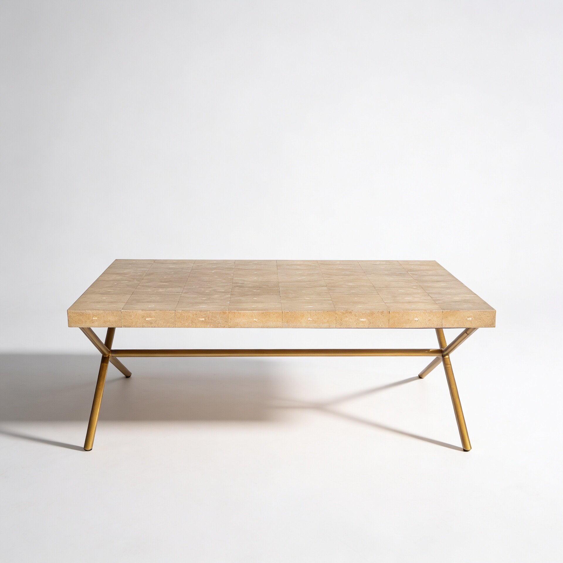 Brass Shagreen Coffee Table